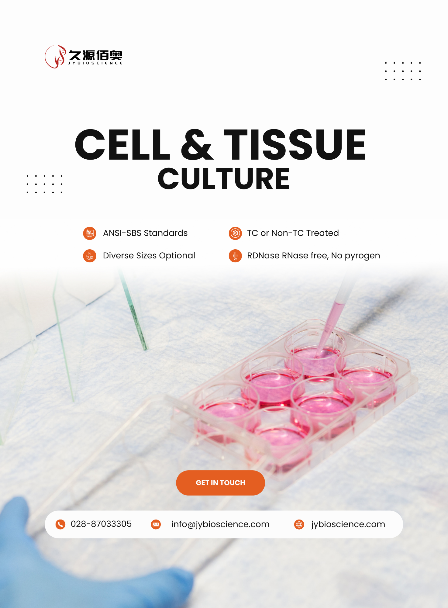 Cell Culture.png